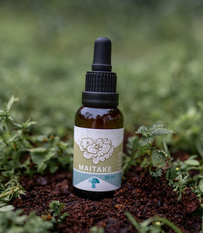 Fungi Pharma- Extracto De Hongo Maitake 30 ml