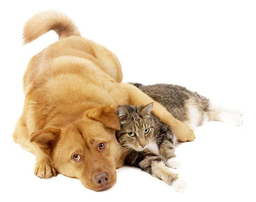 Nup!- Pre Y Probióticos para perros Y gatos 120gramos
