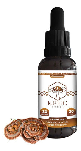 Keho Fungi- Cola De Pavo Concentrado 3.1 -  30 Mililitros