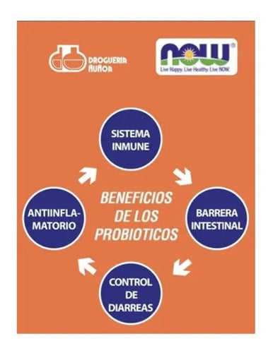 Now Probiotico - 10 Cepa 25 Billones