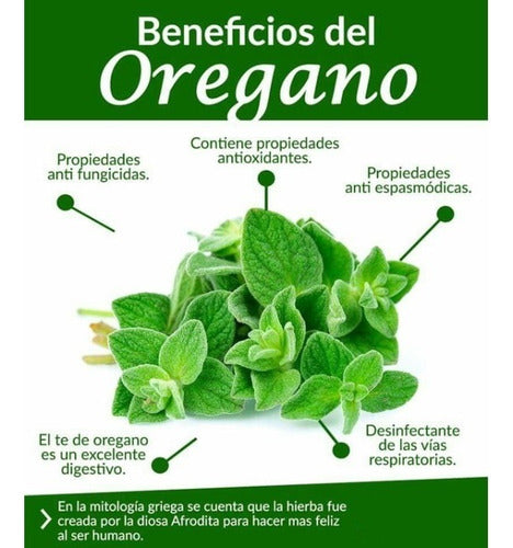  Now - Suplemento En Cápsula Foods Aceite De Orégano
