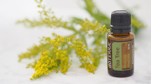 Doterra - Aceite Esencial Arbol De Té 15 Ml (tea Tree)