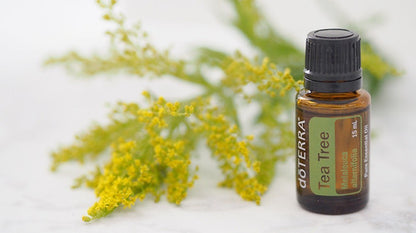 Doterra - Aceite Esencial Arbol De Té 15 Ml (tea Tree)