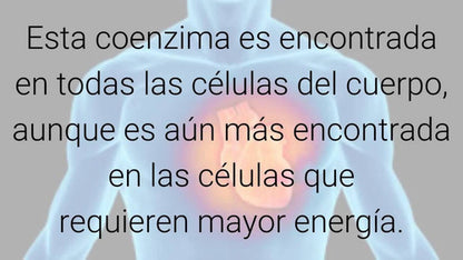 Ortomolecular- COQ10 Liposomal Nutrición Mitocondrial 60 Capsulas
