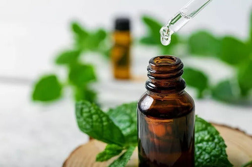 Touch Of Synergy - Aceite Esencial Orégano Quimiotipado 11ml