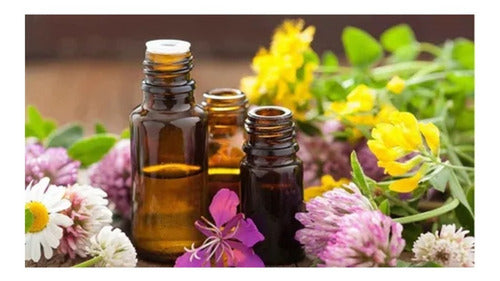  Now -  Aceite Esencial Rosemary