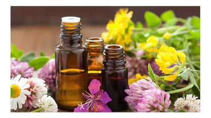  Now -  Aceite Esencial Rosemary