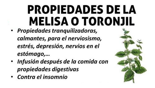 Sinerbiol  En Estuche Con 30 Cápsulas