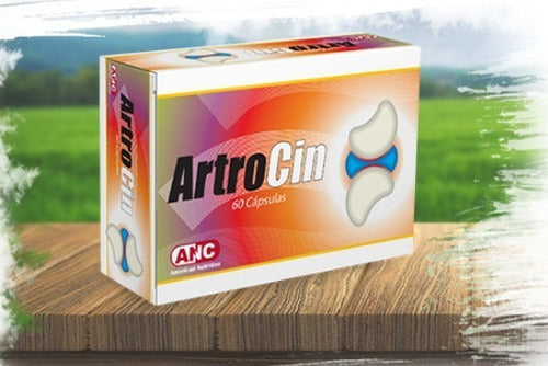 Artrocin Blíster En Estuche Con 60 Cápsulas
