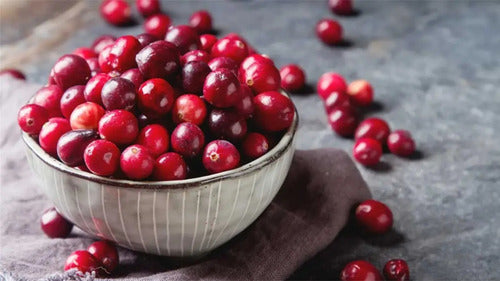 Newscience Vitamin Up Cranberry 60 Comprimidos