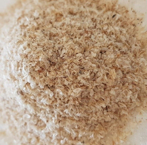 Magmagen- Psyllium Husk Organico 200 Gramos