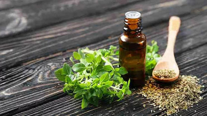 Magmagen- Aceite De Orégano Carvacrol Y Timol Vegano 60 Mililitros