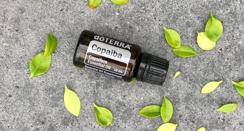 Doterra - Copaiba 15 Ml Aceite Esencial