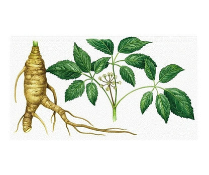 Real Pharm - Ginseng Panax 90 Caps