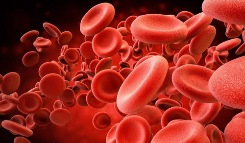 Biocare Iron Complex Complejo Hierro Anemia Globulos Rojos Sabor Sin Sabor