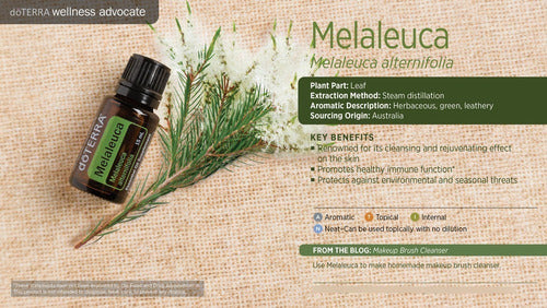 Doterra - Aceite Esencial Arbol De Té 15 Ml (tea Tree)