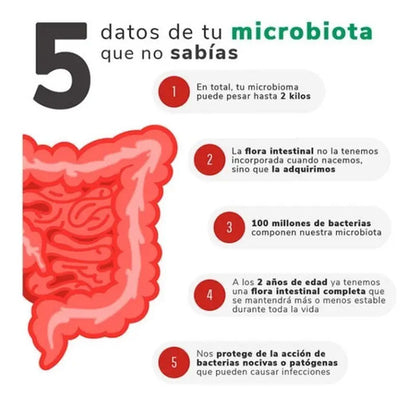 Now Probiotico - 10 Cepa 25 Billones