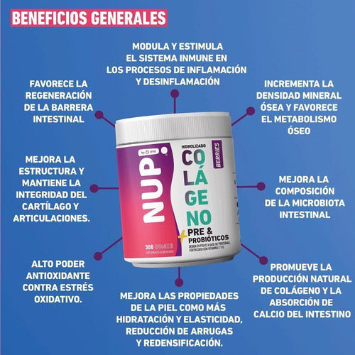 Nup!- Colágeno Hidrolizado + pre & Probióticos- 300 Gramos