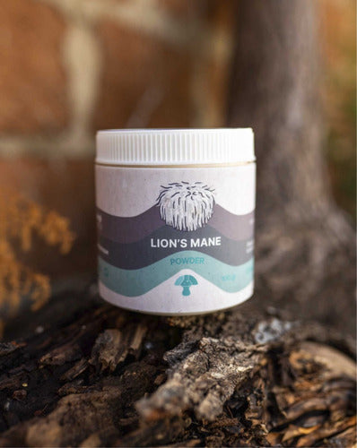 Fungi Pharma- Melena De León En Polvo 100 Gramos