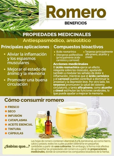ANC- Sinerbiol 30 Cápsulas