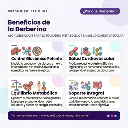 Ortomolecular- Berberina 500mg 60 Capsulas  Equilibrio Metabolico y Bienestar