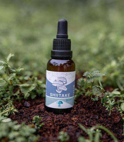 Fungi Pharma- Shiitake 30 ml