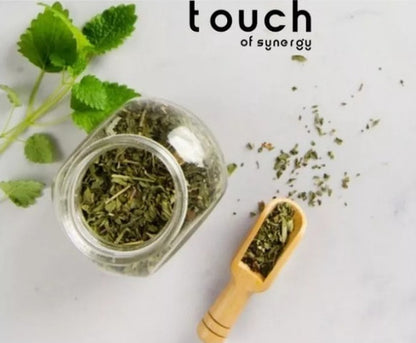 Touch Of Synergy-tiroide Relief (kelp, Salvia, Lúpulo) 90cap