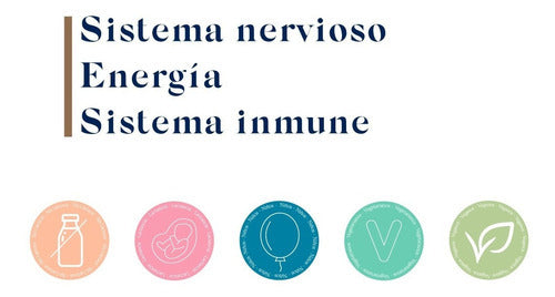 Biocare Nutrisorb Vitamina B12 Liquida Energia Sist Nervioso Sabor Sin Sabor