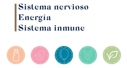 Biocare Nutrisorb Vitamina B12 Liquida Energia Sist Nervioso Sabor Sin Sabor