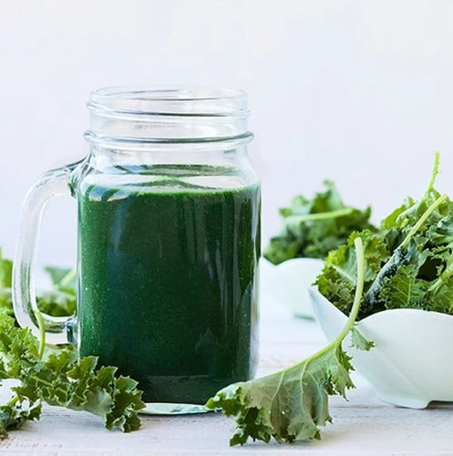 Aquasolar - Spirulina Raw 600g Polvo 100% Orgánico