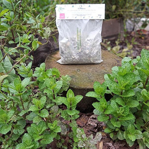 Eco Hierbas- Infusión Mix Relajación (calma) 50gr