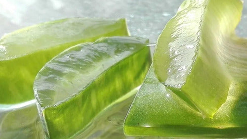 Aloe Vera Gel  1 Litro
