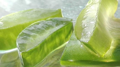 Aloe Vera Gel  1 Litro