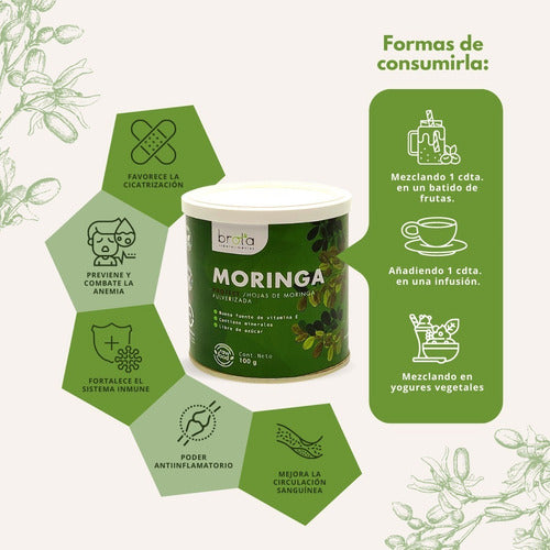 Brota- Moringa En Polvo Brota 100gramos