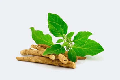 Proactive- Ashwagandha 450 Miligramos 120 Cápsulas