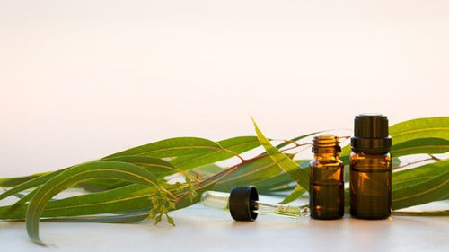 Aceite Esencial Now Eucaliptus 30ml