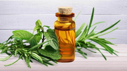 Aceite Esencial Arbol De Te- 30 Ml