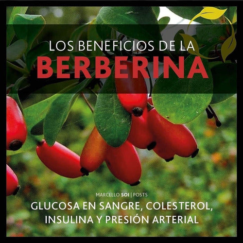 Muscle Care - Berberina 90 Tableta 500mg