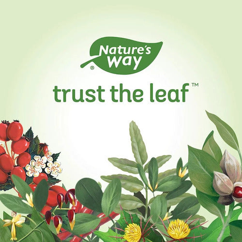 Natures Way Raíz De Jengibre 1100mg 100 Cápsulas Sabor Sin Sabor
