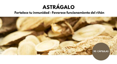 Touch Of Synergy - Astrágalo 90 Cápsulas