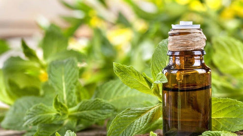 Aceite Esencial Now Menta 30ml