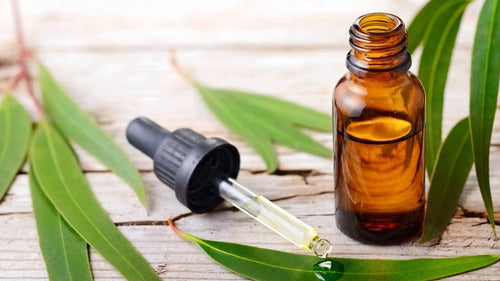Aceite Esencial Now Eucaliptus 30ml