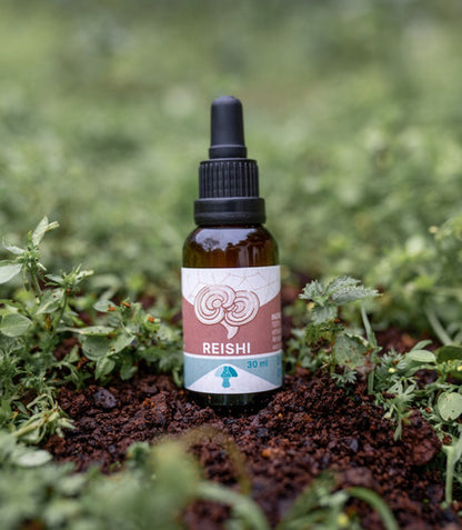 Fungi Pharma- Extracto De Hongo Reishi 30 ml