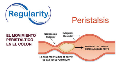 Regularity - Mejora El Estreñimiento Y El Tránsito Lento