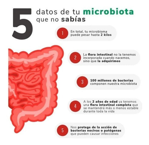 Probiotico 10 Cepas 100 Billones Ufc -flora Intestinos Sanos