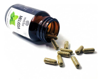 Natural Telchi- Melissa 500mg  90cápsulas