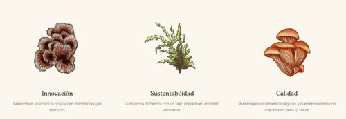 Keho Fungi- Cola De Pavo Concentrado 990 Miligramos 30 Cápsulas