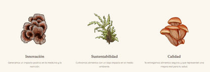 Keho Fungi- Cola De Pavo Concentrado 3.1 -  30 Mililitros