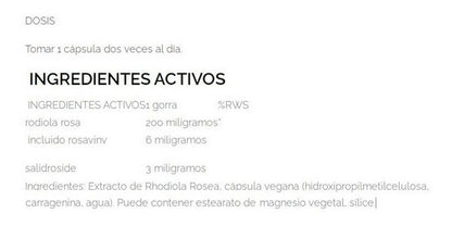 Real Pharm - Rhodiola Rosea 90 Capsulas 
