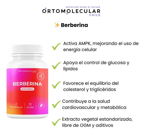 Ortomolecular- Berberina 500mg 60 Capsulas  Equilibrio Metabolico y Bienestar